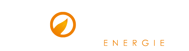 logo ecologis